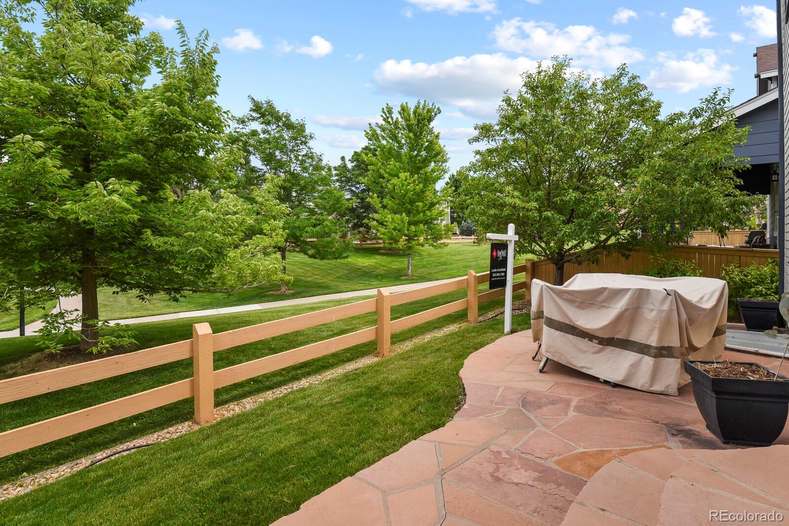 MLS Image #42 for 3150  redhaven way,highlands ranch, Colorado