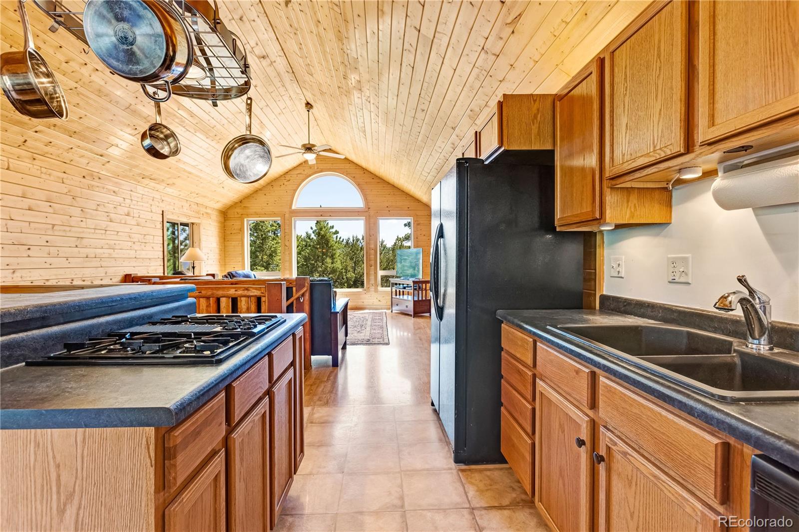 MLS Image #10 for 83  forest lane,howard, Colorado