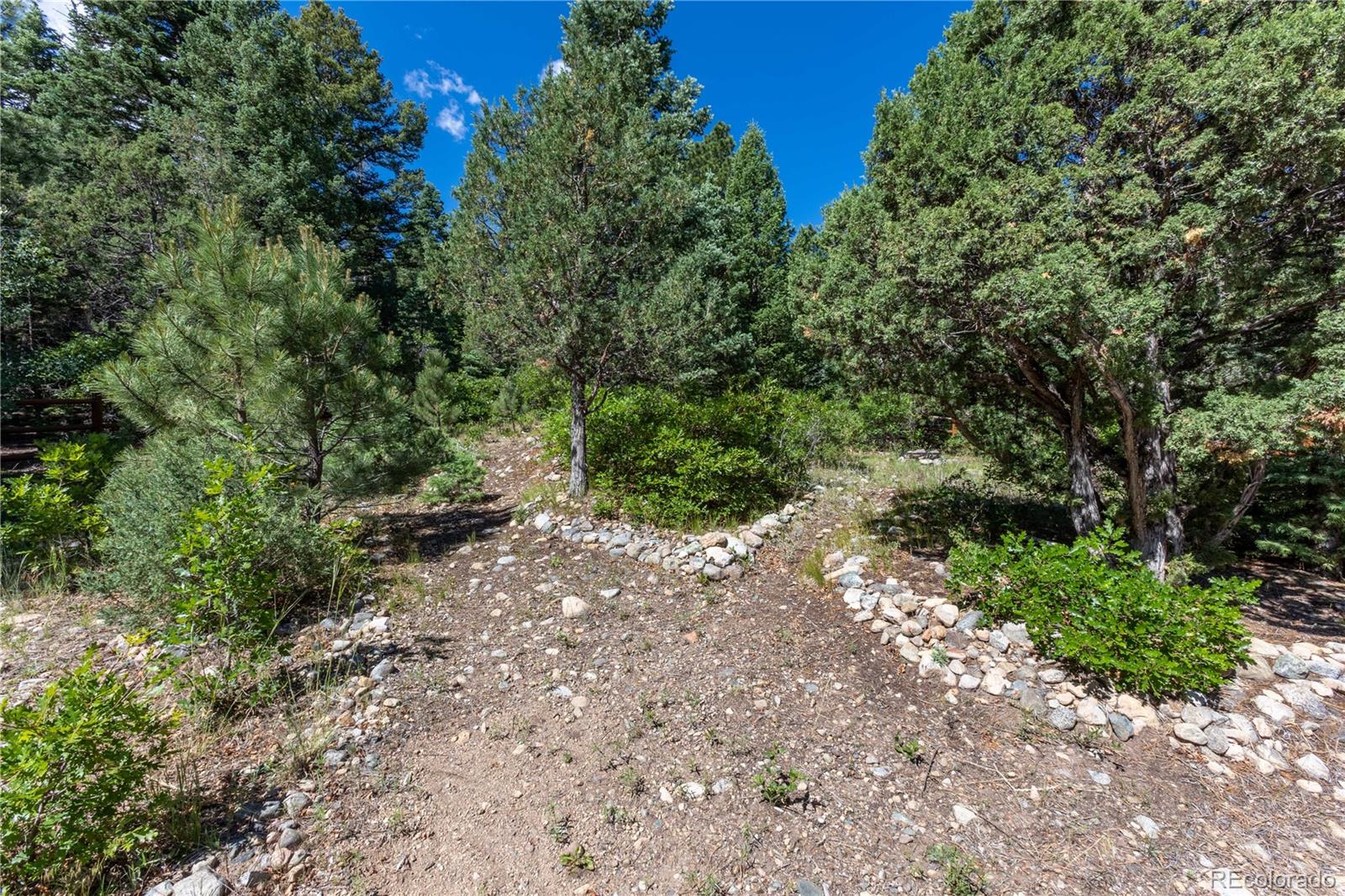 MLS Image #34 for 83  forest lane,howard, Colorado