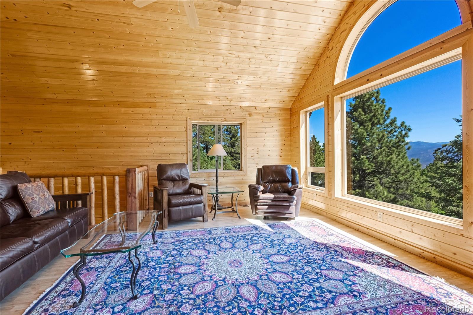 MLS Image #6 for 83  forest lane,howard, Colorado