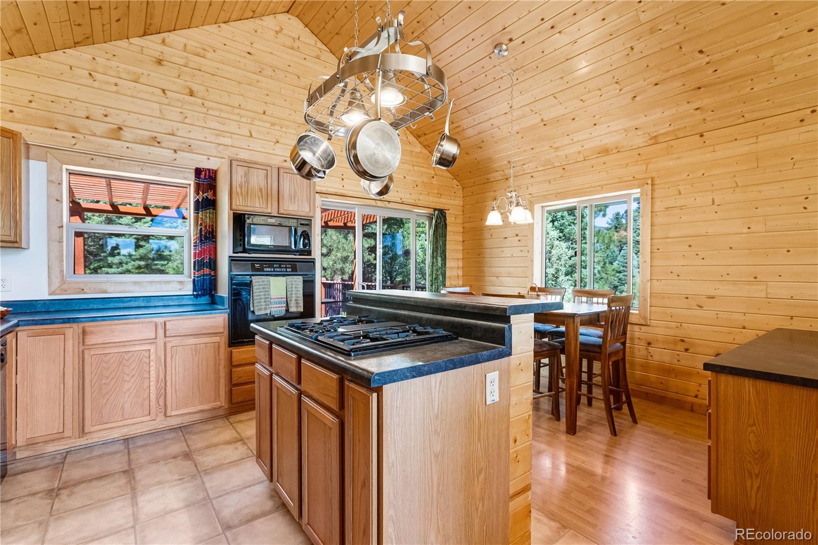 MLS Image #9 for 83  forest lane,howard, Colorado