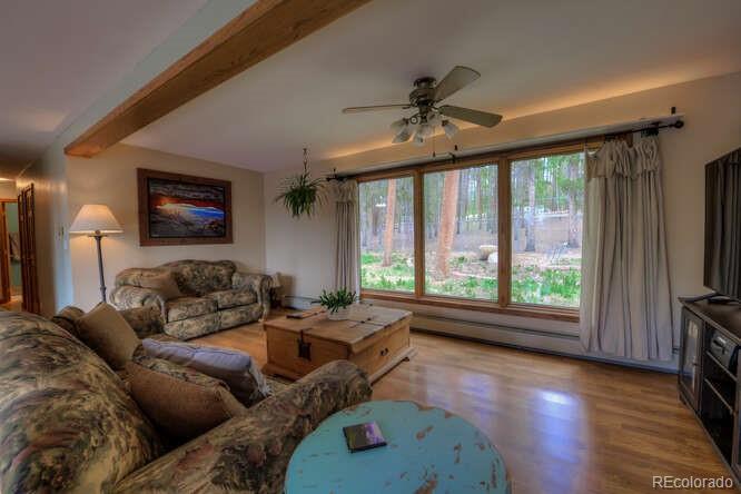 MLS Image #10 for 900  gem valley drive,leadville, Colorado