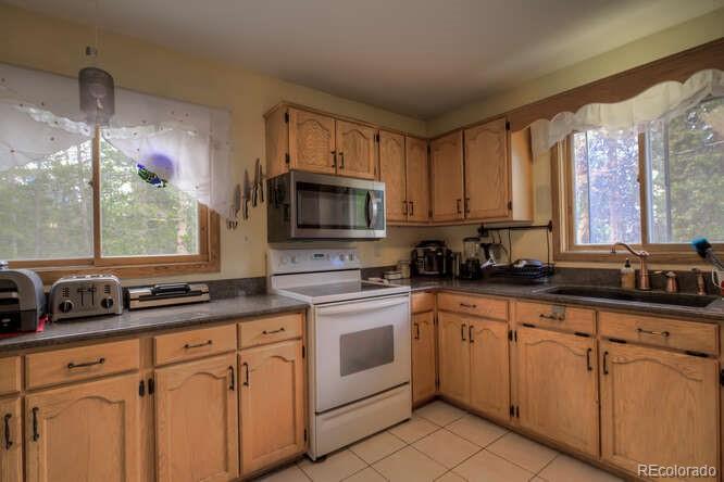 MLS Image #14 for 900  gem valley drive,leadville, Colorado