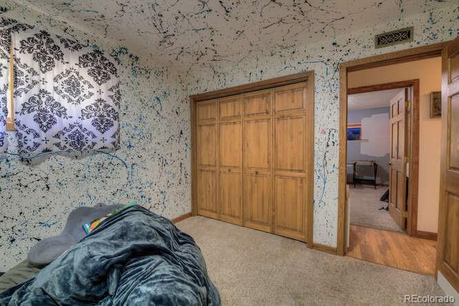 MLS Image #25 for 900  gem valley drive,leadville, Colorado