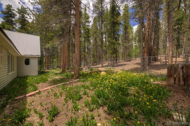 MLS Image #41 for 900  gem valley drive,leadville, Colorado