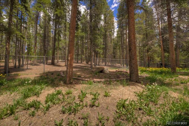 MLS Image #44 for 900  gem valley drive,leadville, Colorado