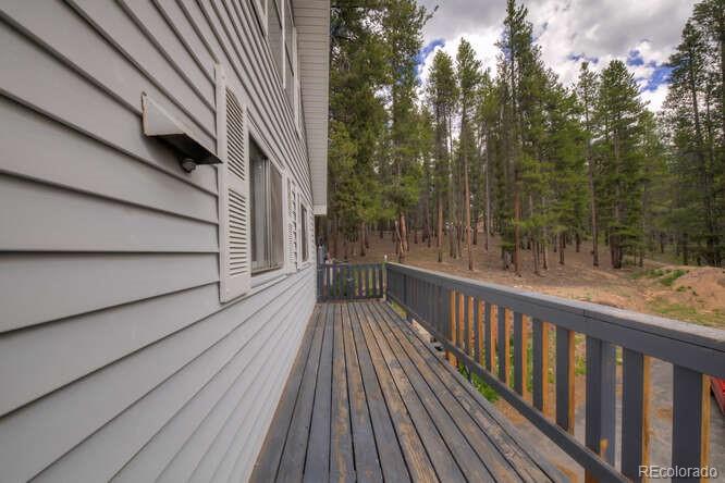 MLS Image #5 for 900  gem valley drive,leadville, Colorado