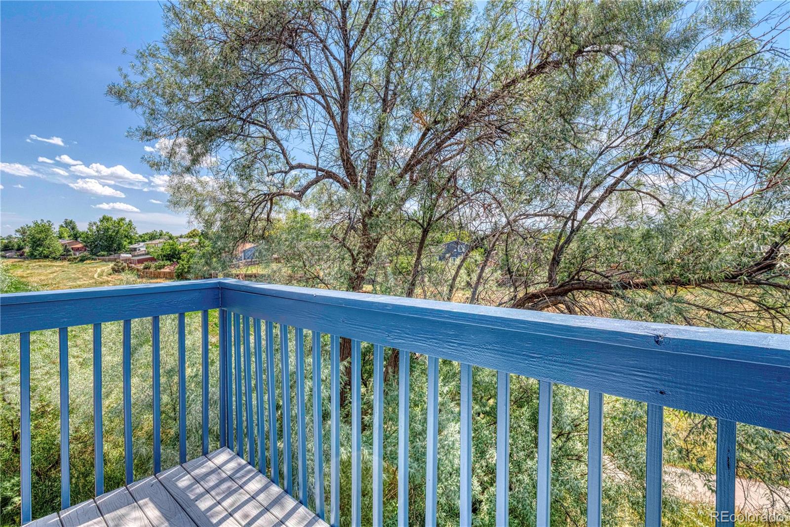 MLS Image #5 for 1323 s cathay court,aurora, Colorado