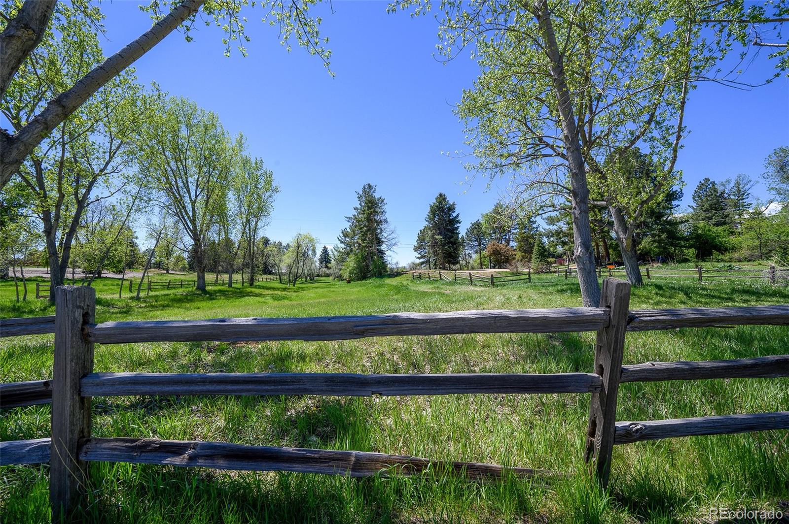 MLS Image #8 for 6  tamarac lane,cherry hills village, Colorado