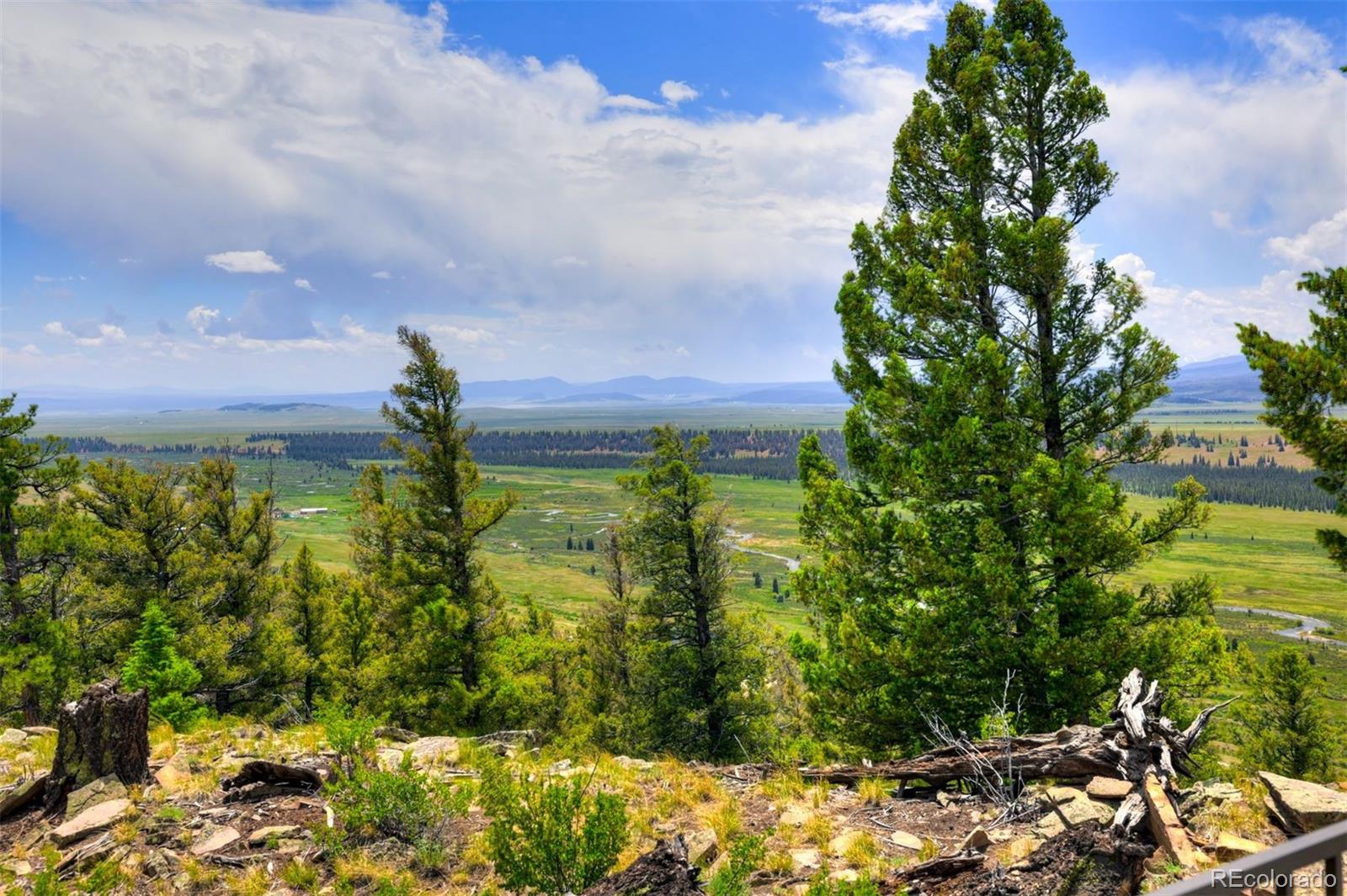 MLS Image #35 for 1565  middle fork vista,fairplay, Colorado