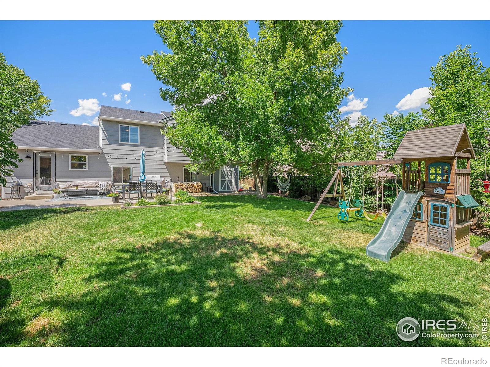 MLS Image #4 for 1332  monarch drive,longmont, Colorado