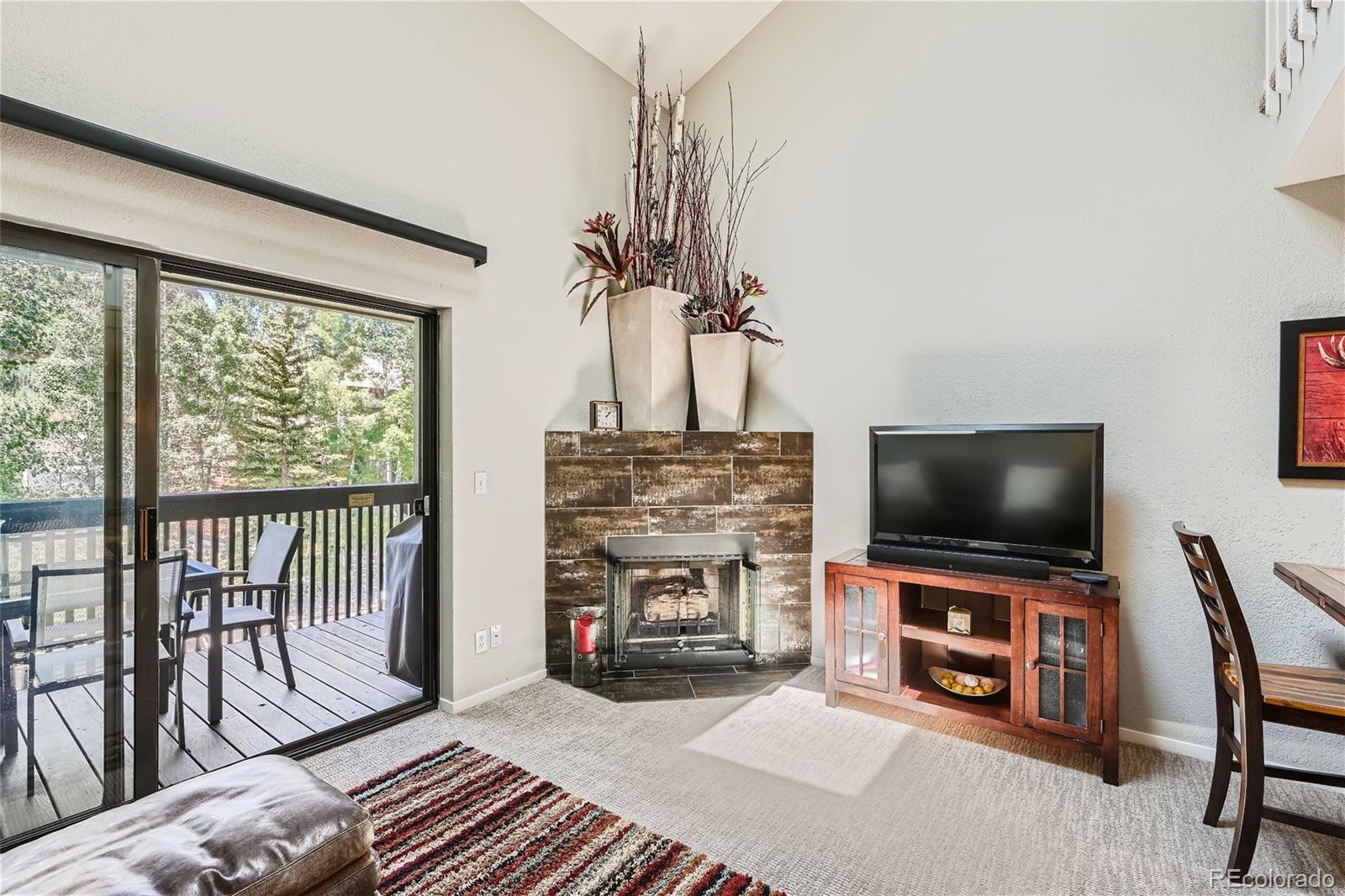 MLS Image #2 for 755 s 5th avenue,frisco, Colorado