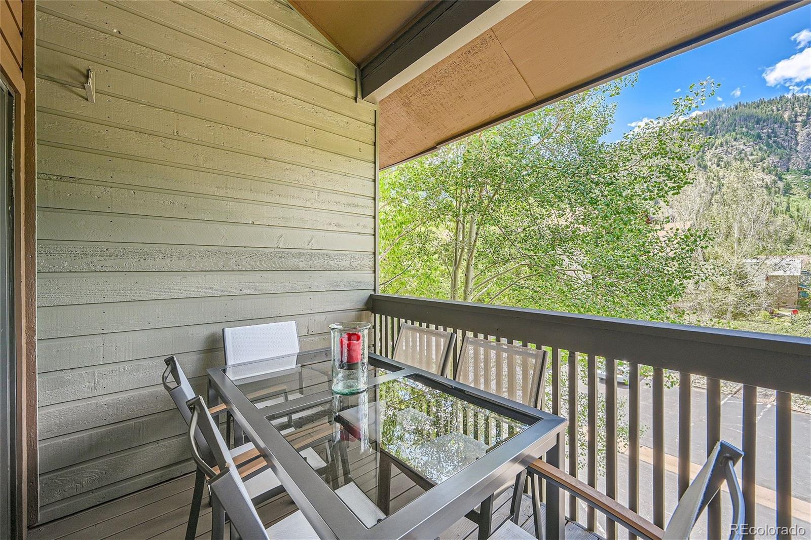 MLS Image #22 for 755 s 5th avenue,frisco, Colorado