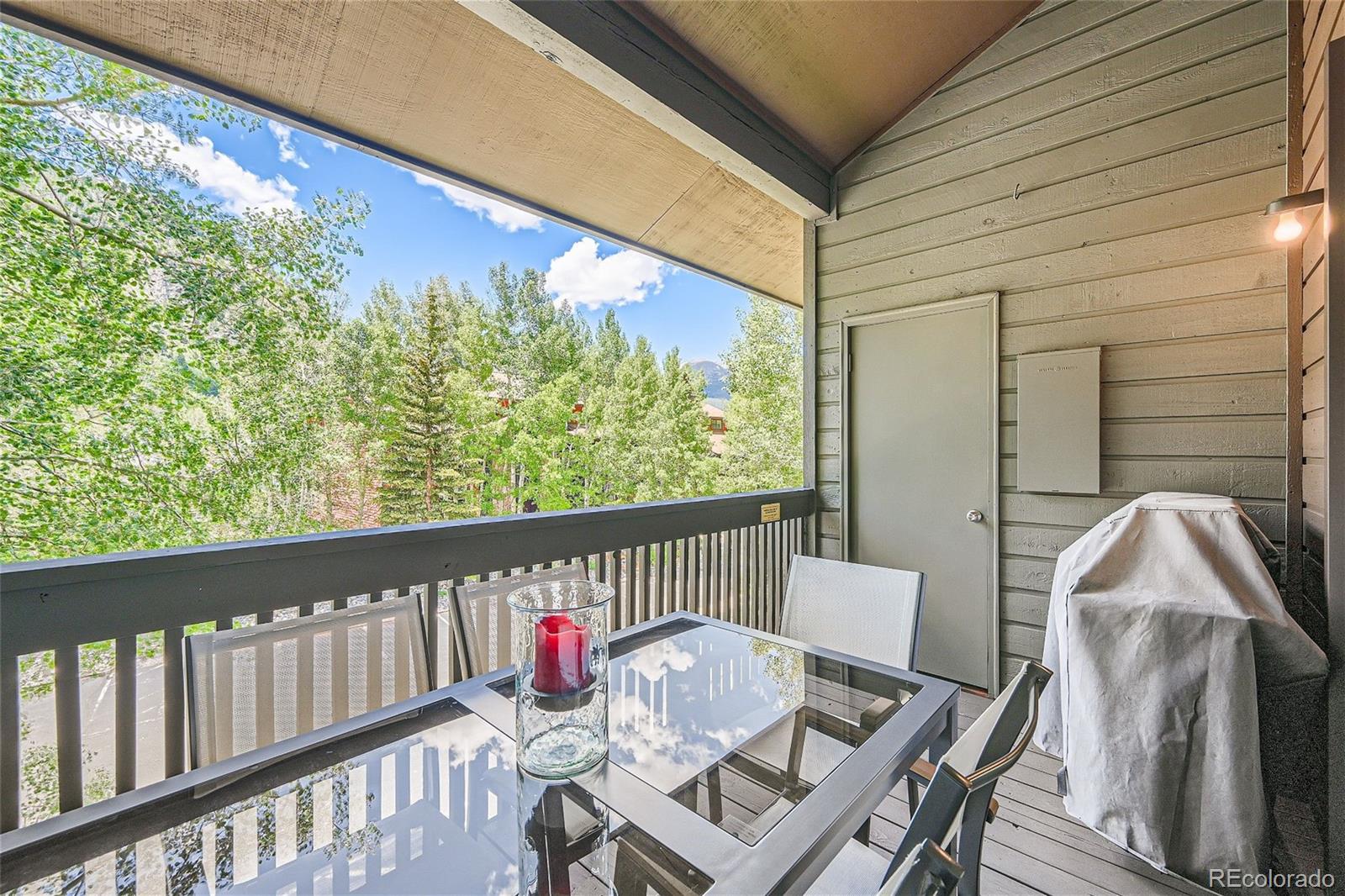 MLS Image #23 for 755 s 5th avenue,frisco, Colorado