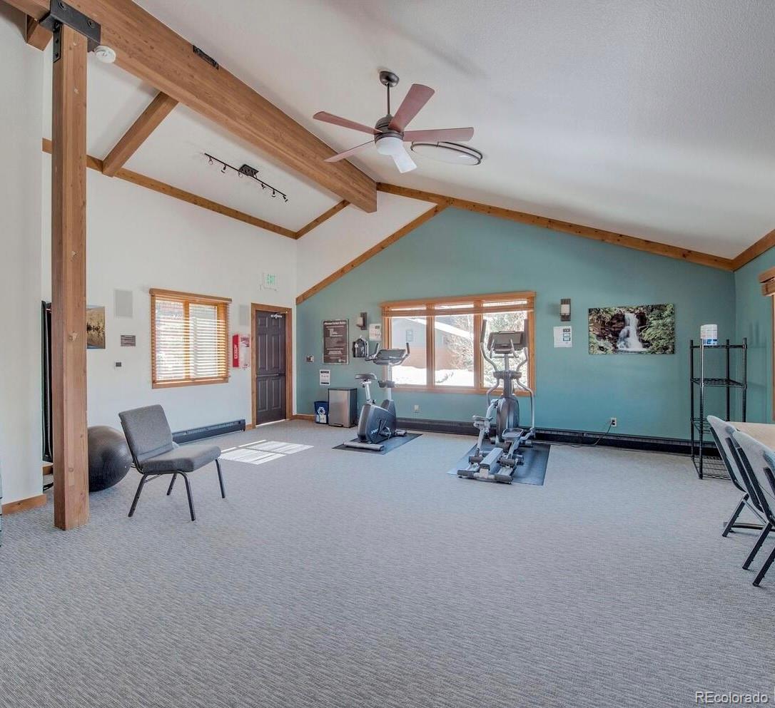 MLS Image #31 for 755 s 5th avenue,frisco, Colorado