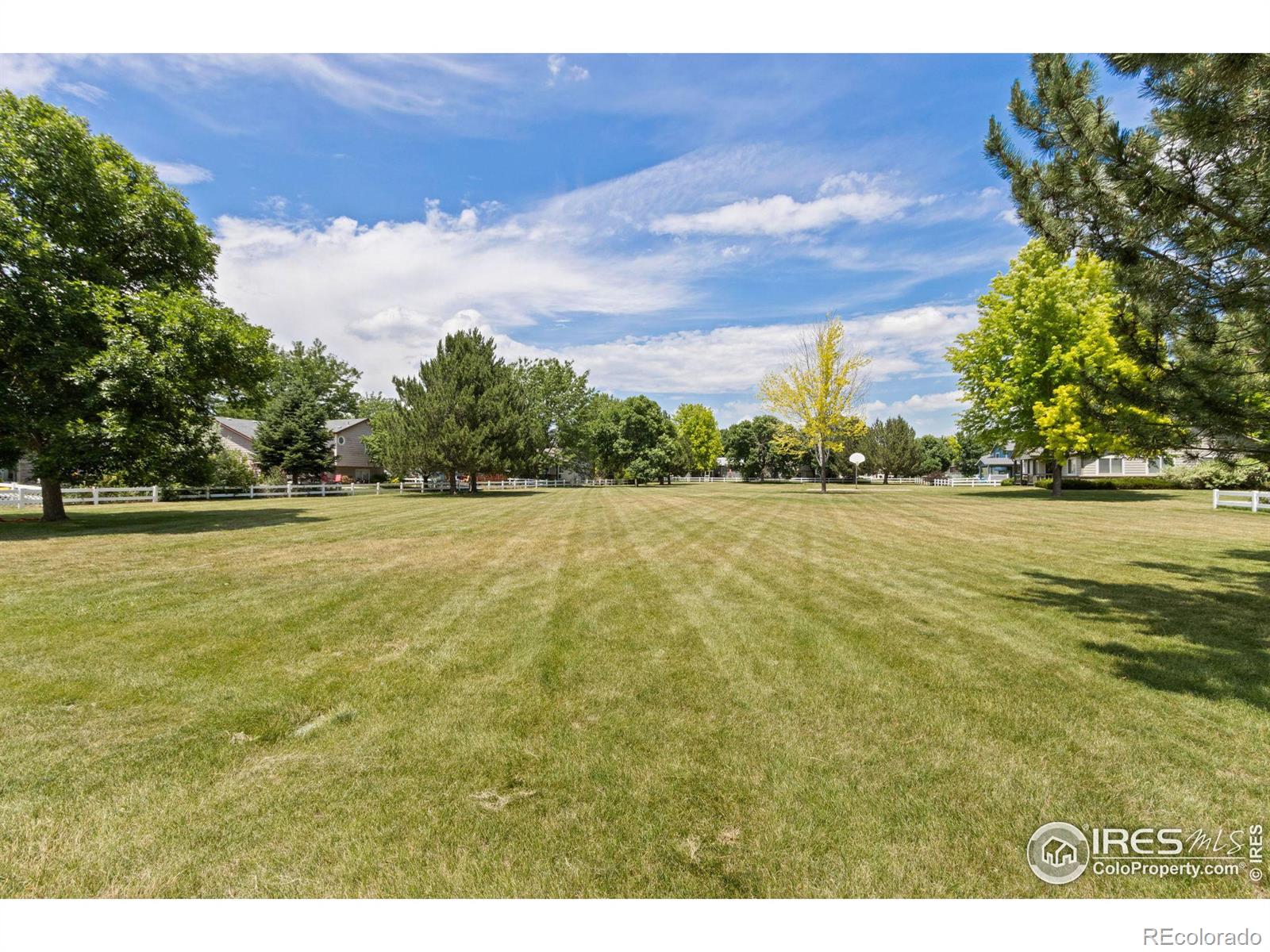 MLS Image #26 for 2351  emerald street,loveland, Colorado