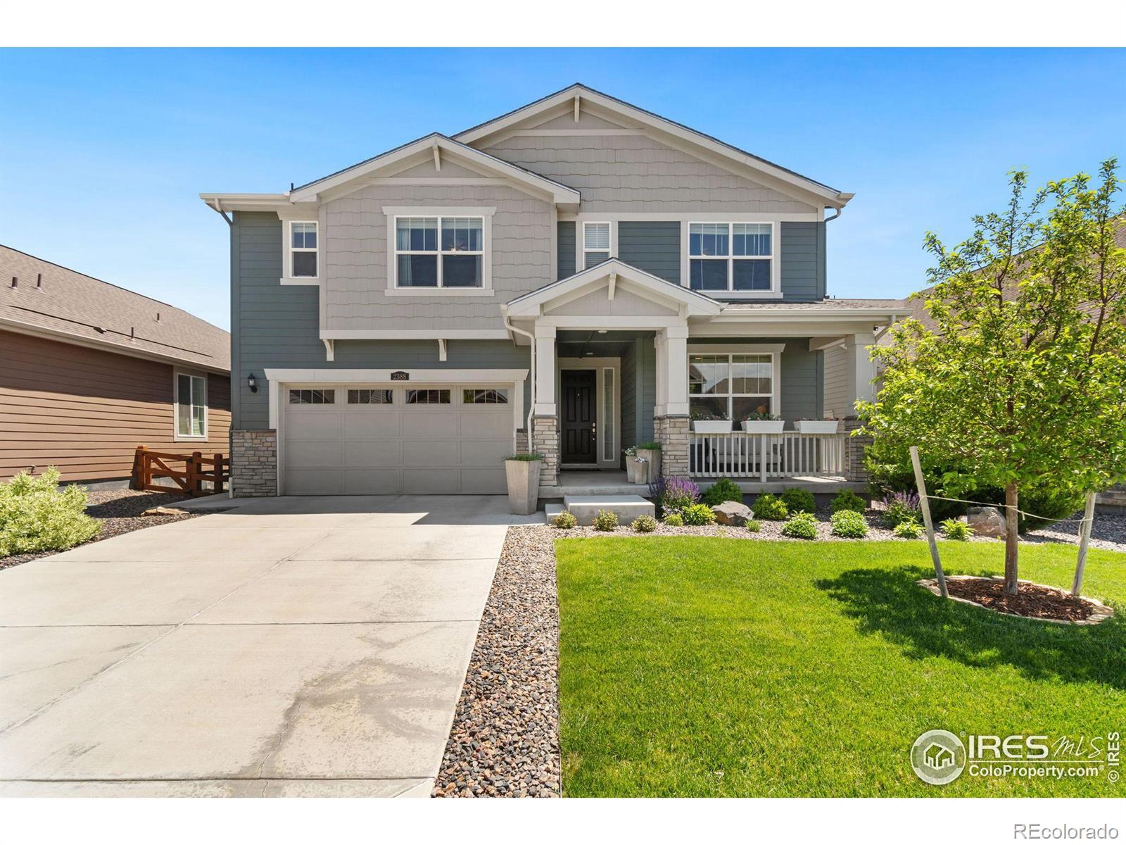 CMA Image for 2388  Provenance Street,Longmont, Colorado