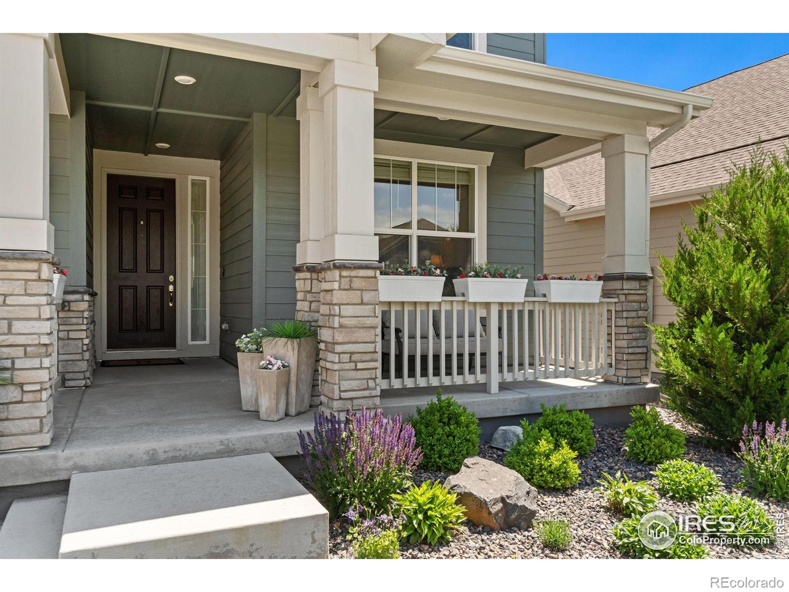 MLS Image #2 for 2388  provenance street,longmont, Colorado