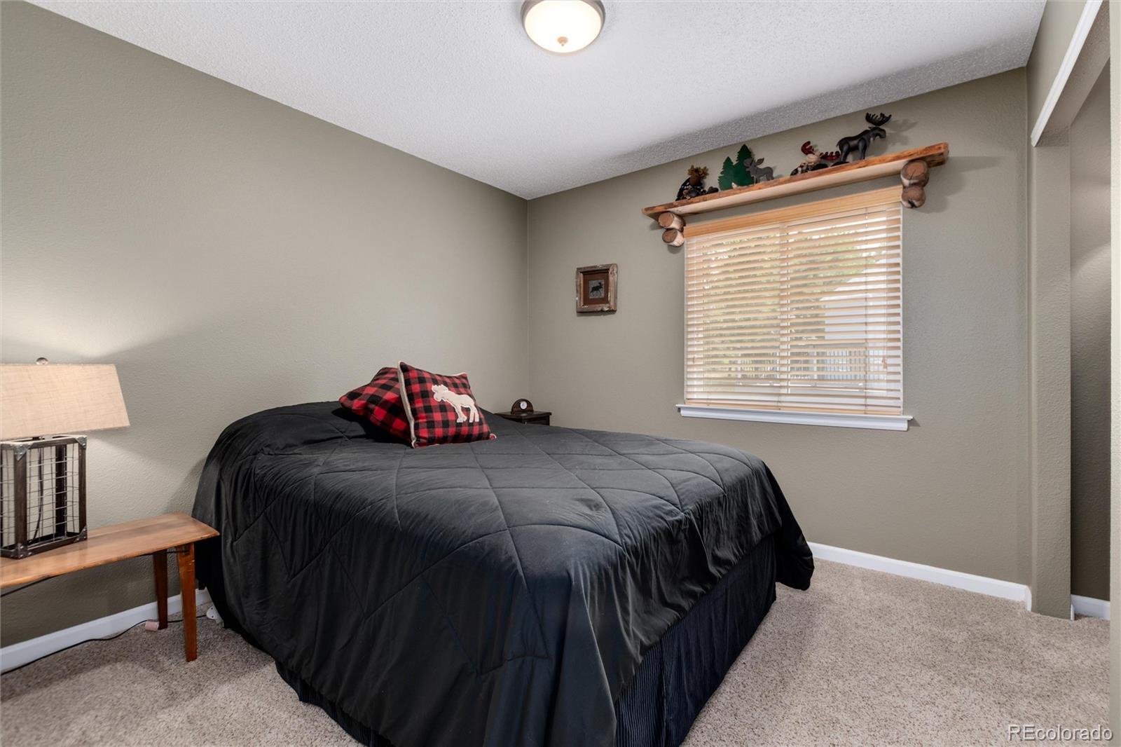 MLS Image #21 for 20813  willowbend lane,parker, Colorado