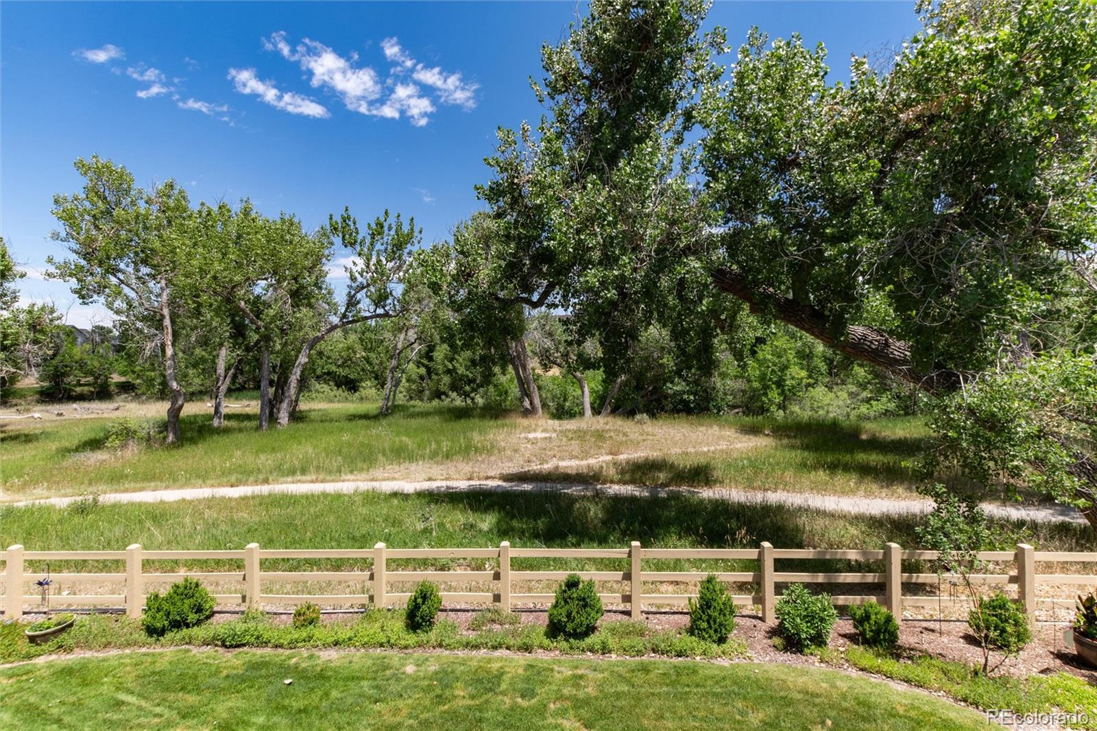 MLS Image #41 for 20813  willowbend lane,parker, Colorado