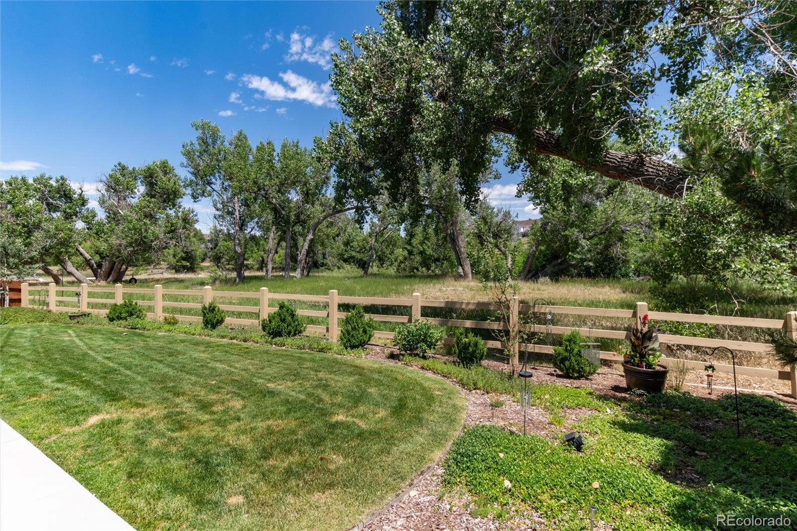 MLS Image #42 for 20813  willowbend lane,parker, Colorado