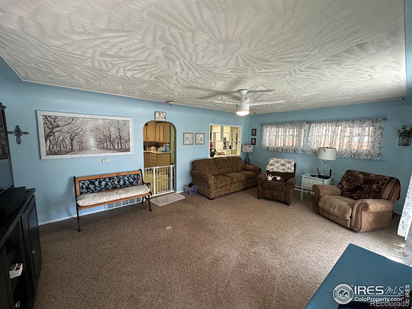 MLS Image #5 for 622  date avenue,akron, Colorado