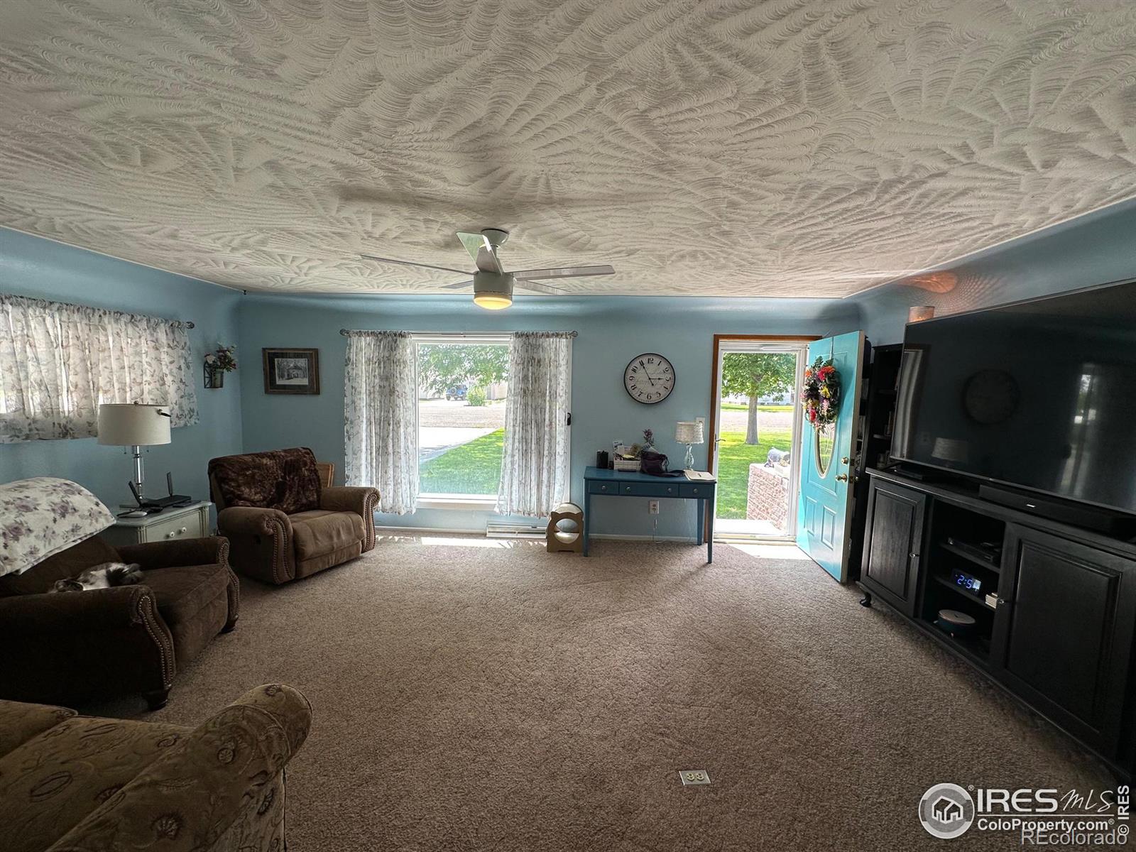 MLS Image #6 for 622  date avenue,akron, Colorado