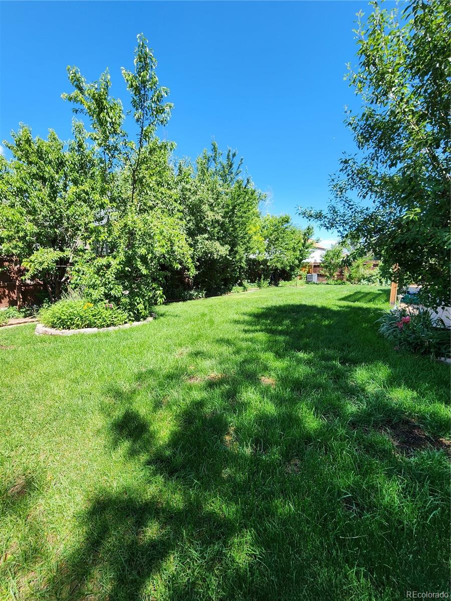 MLS Image #39 for 12821  royal court,broomfield, Colorado