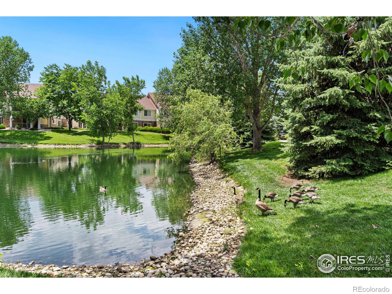 MLS Image #21 for 4785  hahns peak drive,loveland, Colorado