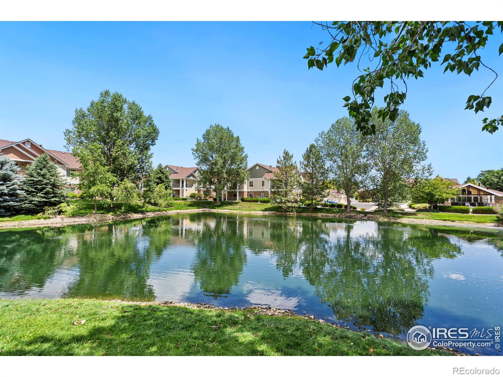 MLS Image #23 for 4785  hahns peak drive,loveland, Colorado