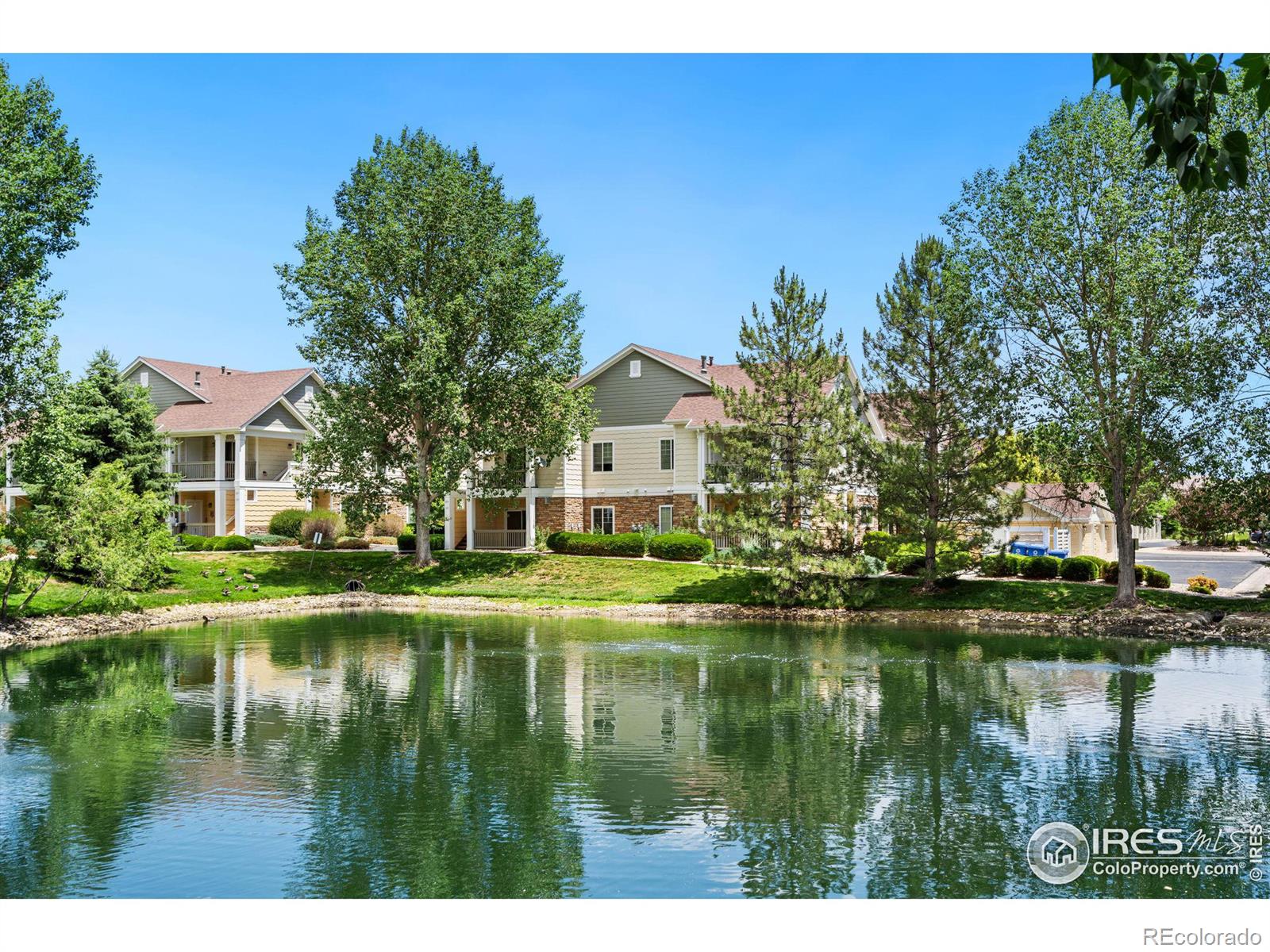 MLS Image #24 for 4785  hahns peak drive,loveland, Colorado