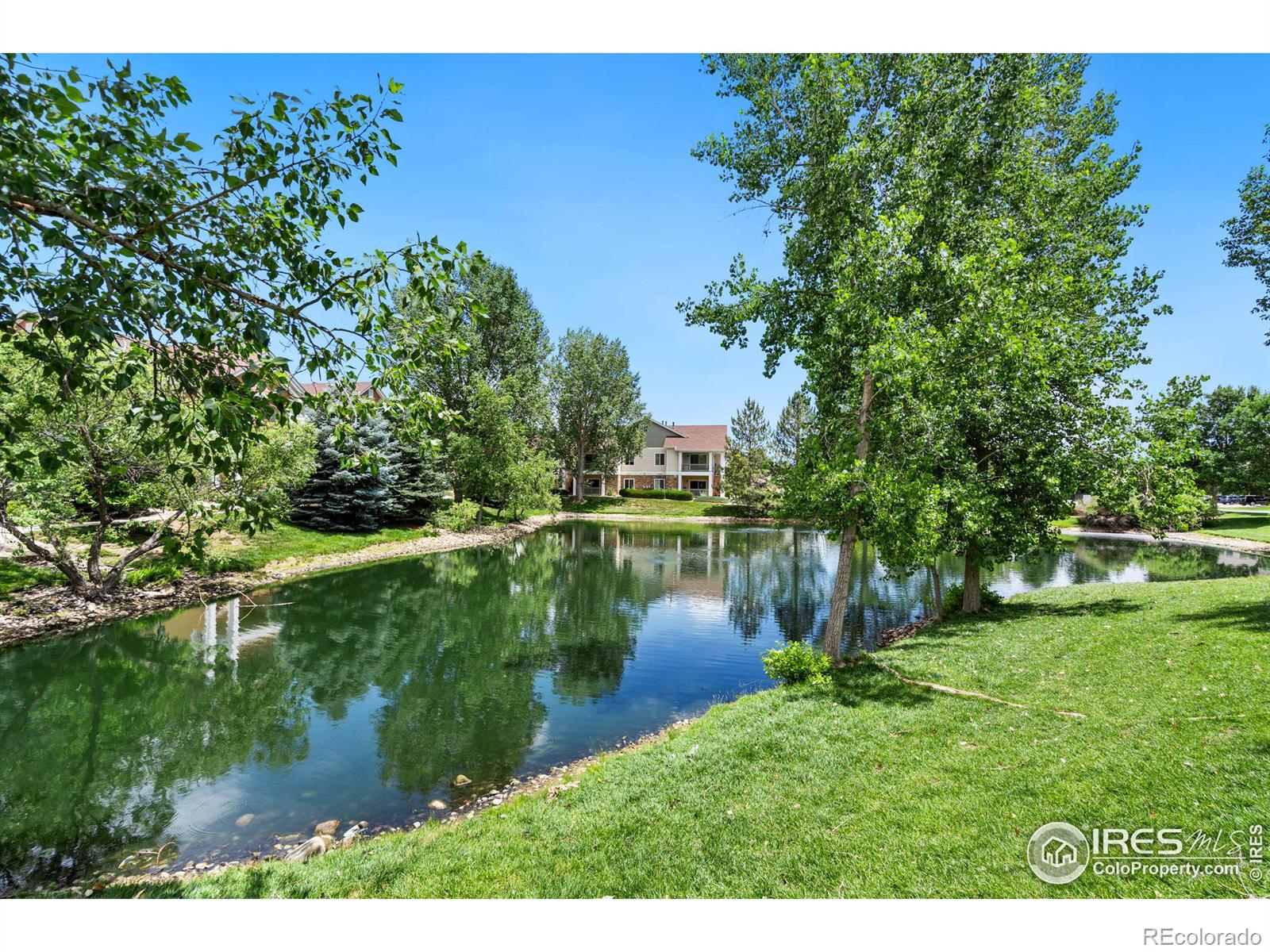 MLS Image #25 for 4785  hahns peak drive,loveland, Colorado