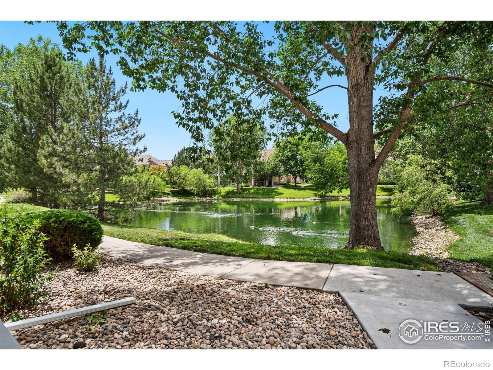 MLS Image #28 for 4785  hahns peak drive,loveland, Colorado