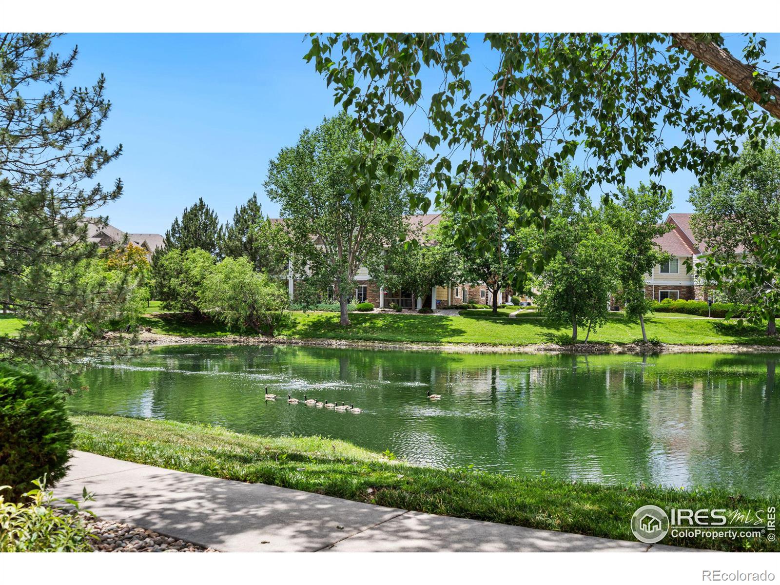 MLS Image #29 for 4785  hahns peak drive,loveland, Colorado