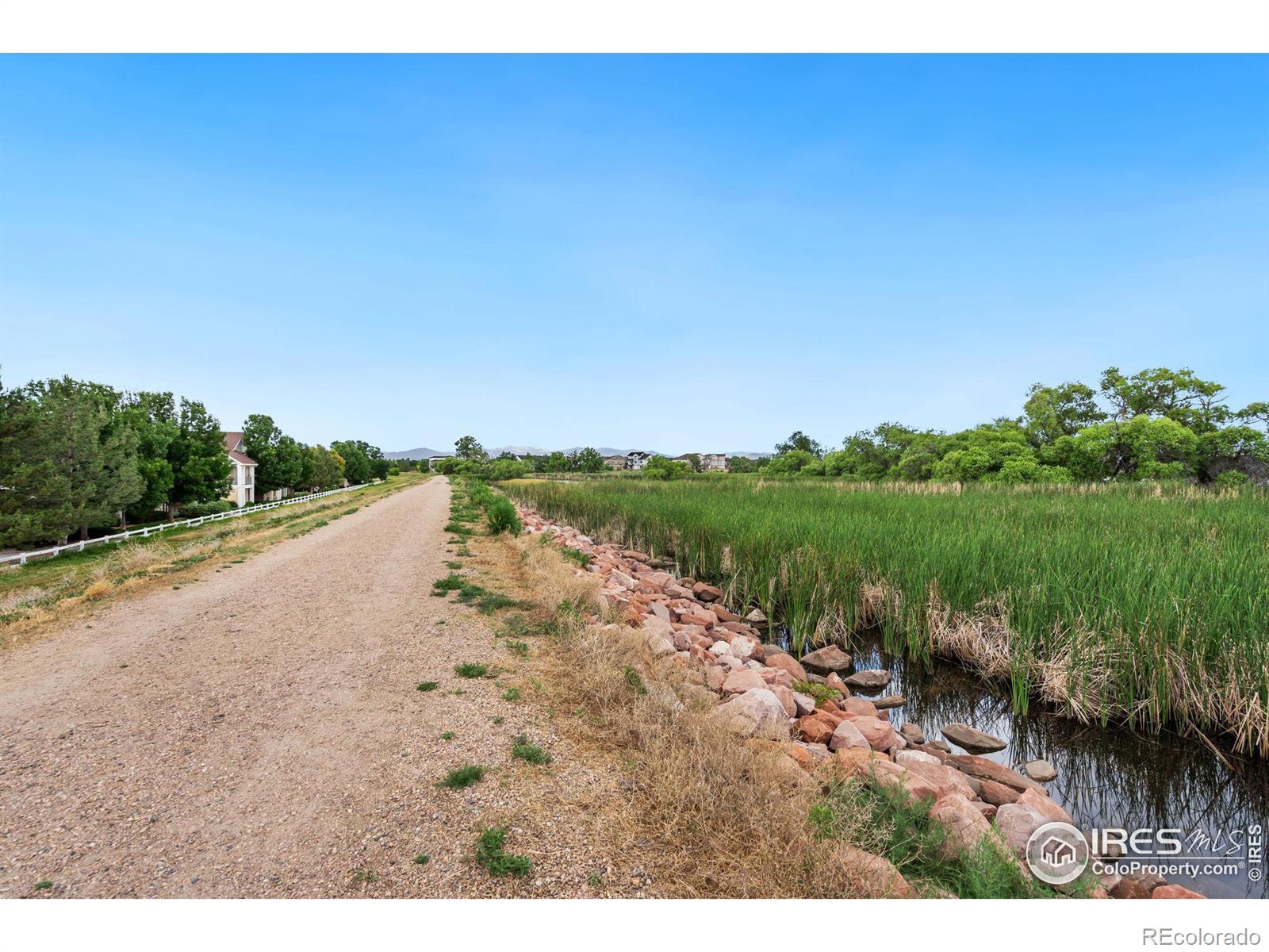 MLS Image #33 for 4785  hahns peak drive,loveland, Colorado