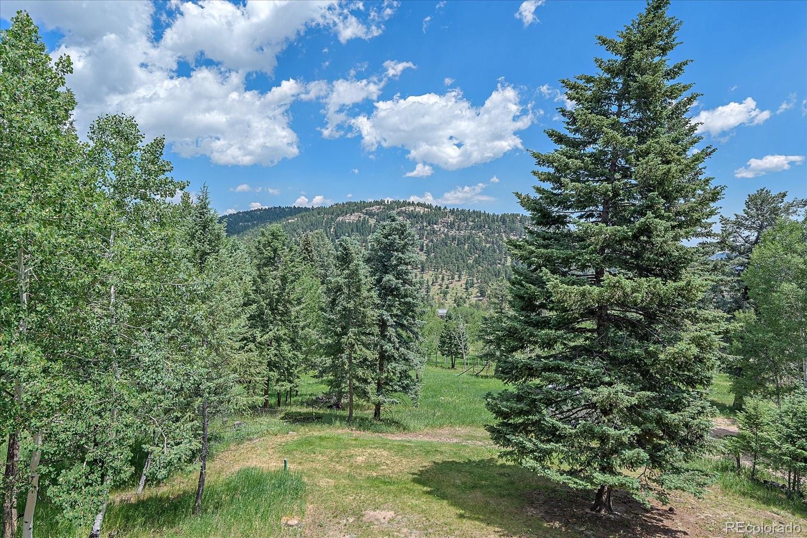 MLS Image #34 for 6529  modoc lane,evergreen, Colorado