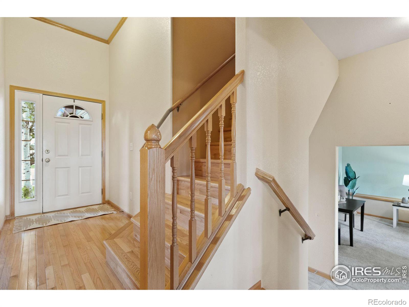 MLS Image #12 for 7363  view pointe circle,wellington, Colorado