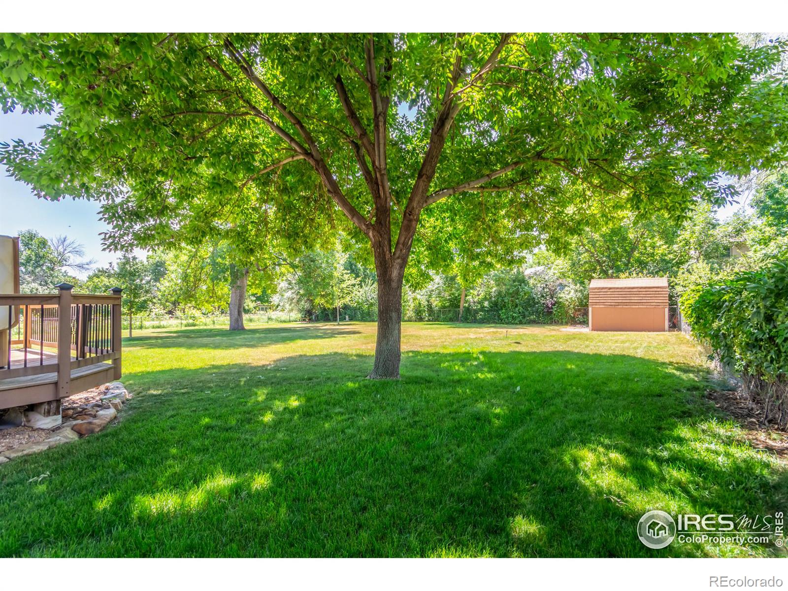 MLS Image #34 for 2801  15th avenue,longmont, Colorado