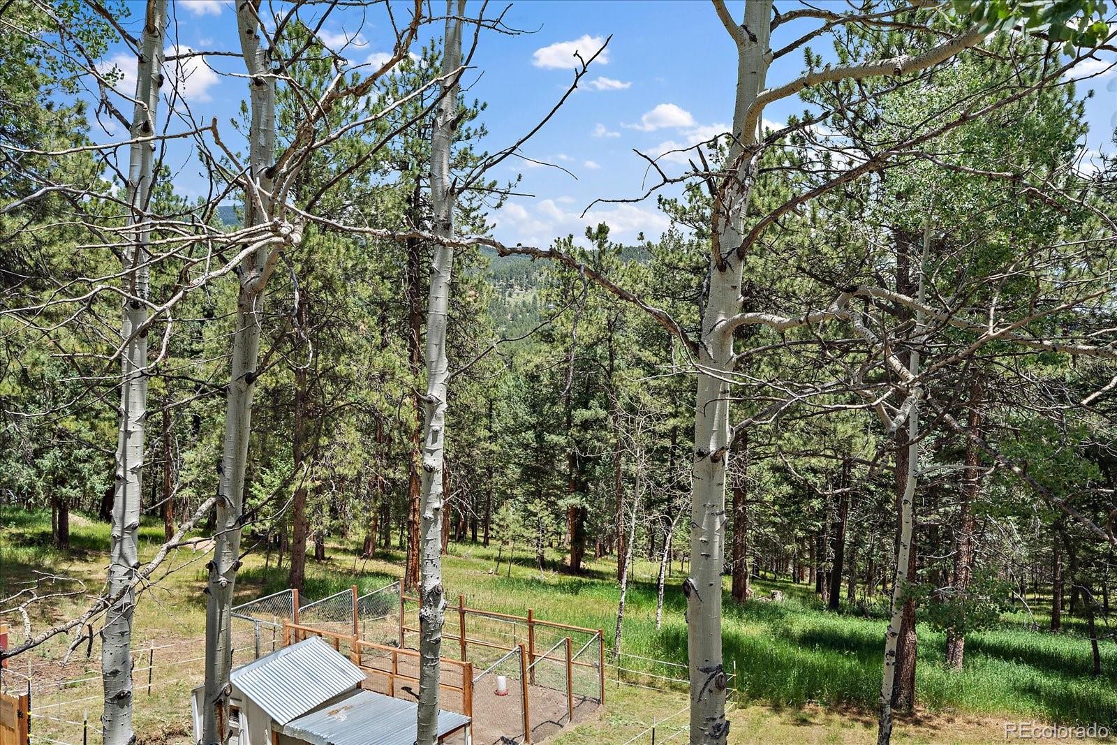 MLS Image #29 for 303  kings road,evergreen, Colorado