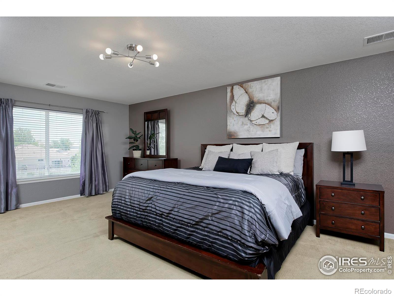 MLS Image #21 for 21366 e 49th place,denver, Colorado