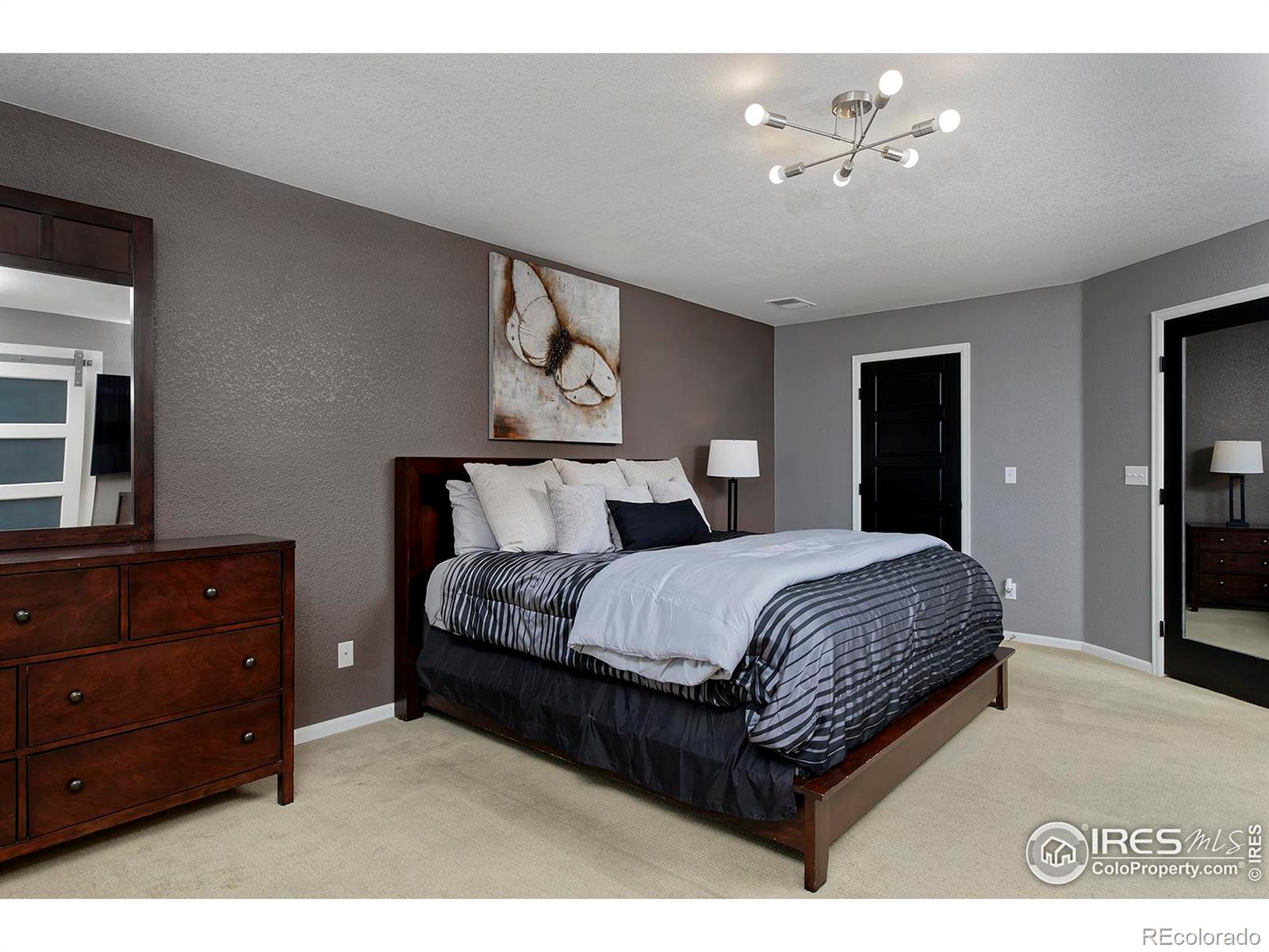 MLS Image #22 for 21366 e 49th place,denver, Colorado