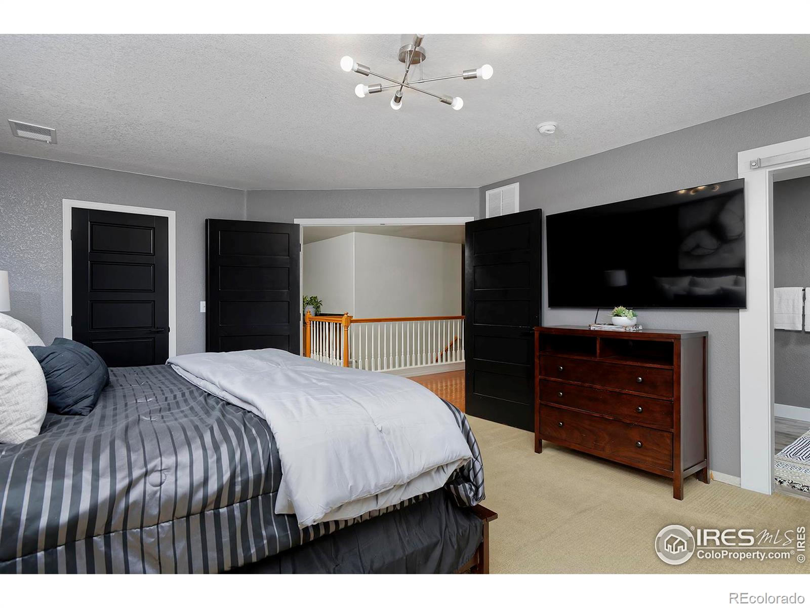 MLS Image #23 for 21366 e 49th place,denver, Colorado