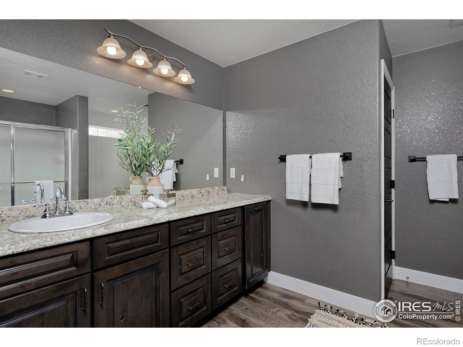 MLS Image #24 for 21366 e 49th place,denver, Colorado