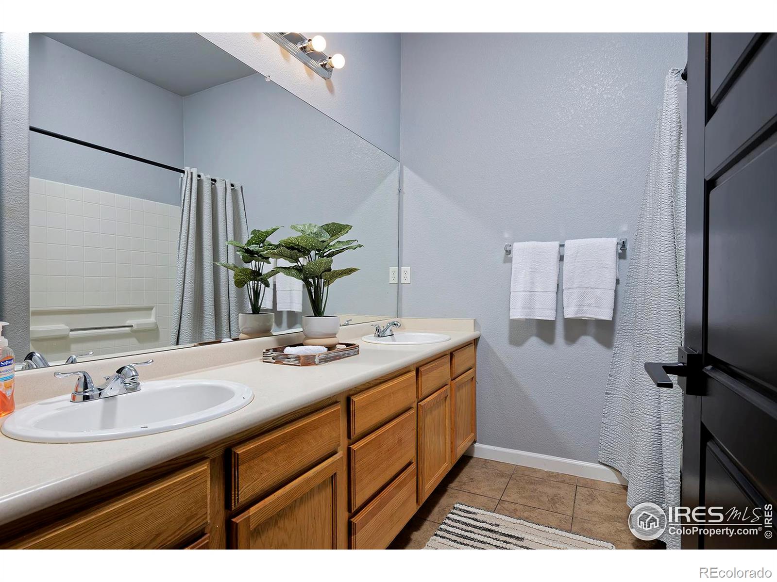 MLS Image #31 for 21366 e 49th place,denver, Colorado