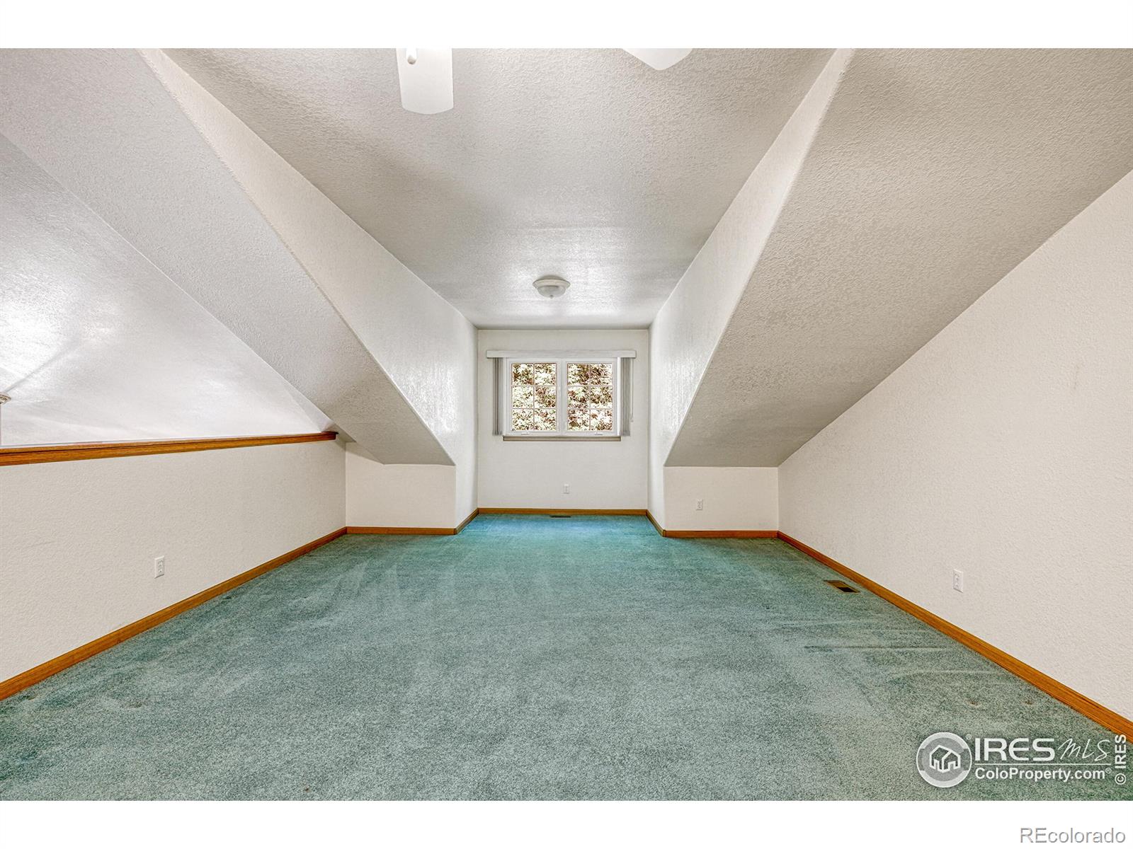 MLS Image #19 for 308  victoria street,berthoud, Colorado