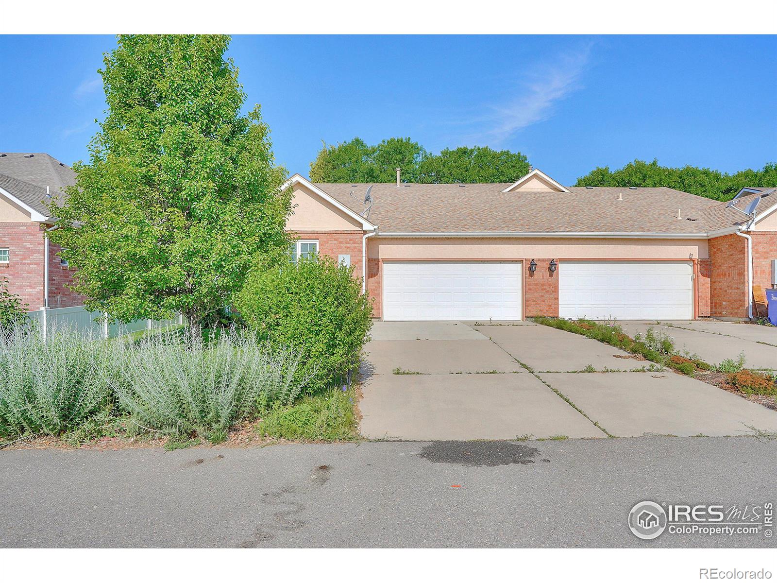 MLS Image #26 for 308  victoria street,berthoud, Colorado