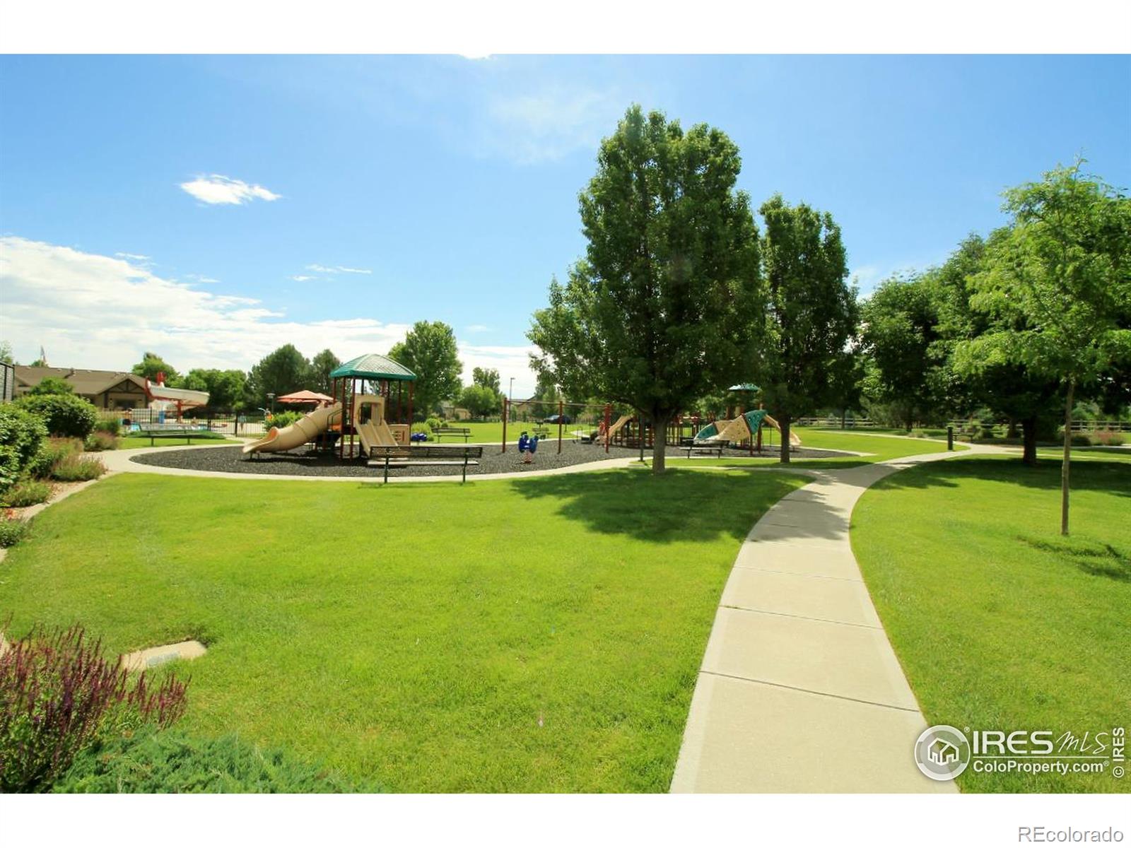 MLS Image #38 for 8390  cherry blossom drive,windsor, Colorado