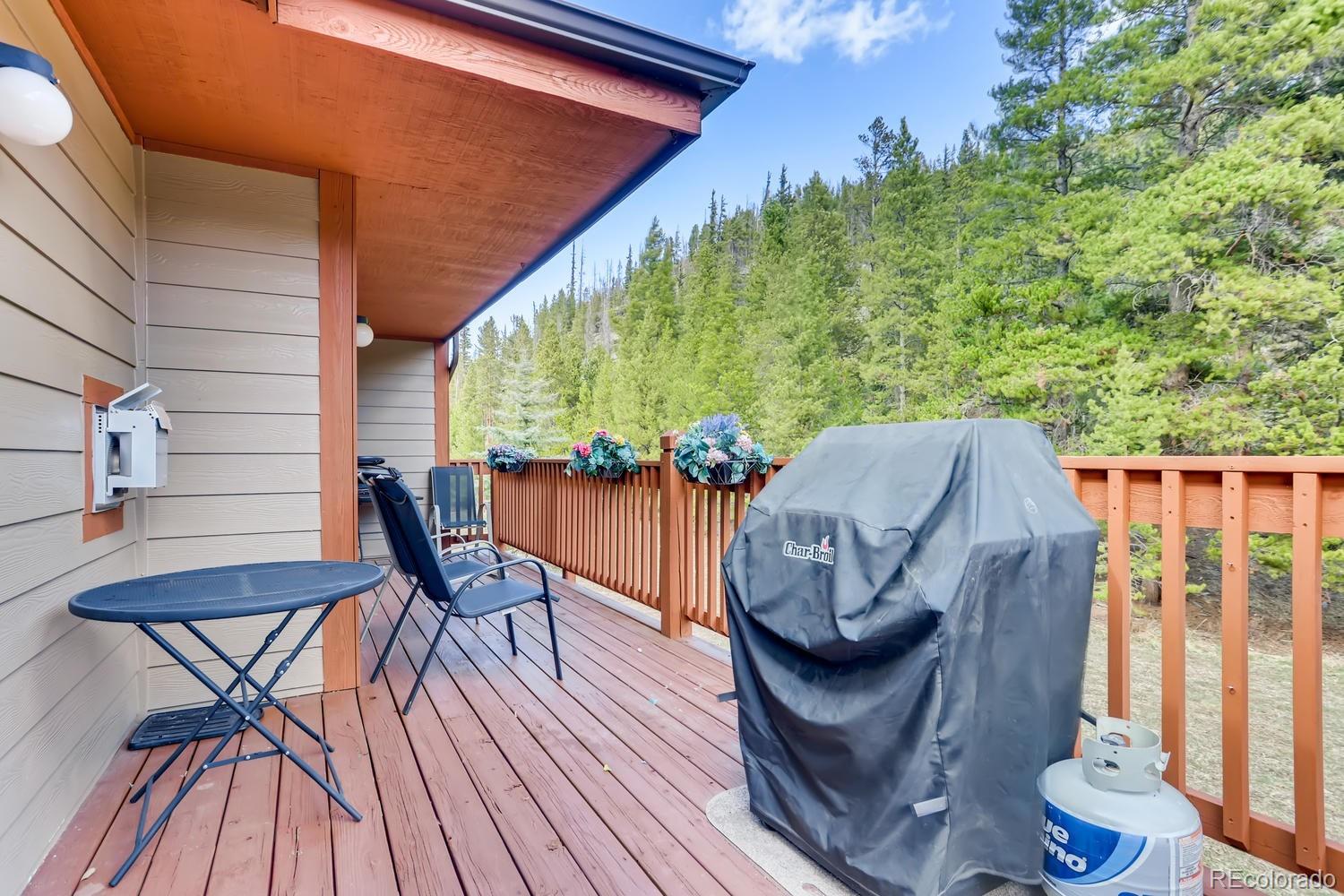 MLS Image #21 for 203  pelican circle,breckenridge, Colorado