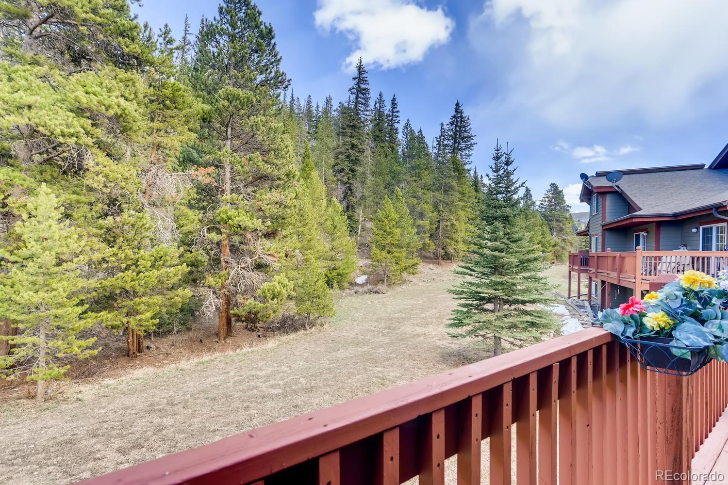 MLS Image #22 for 203  pelican circle,breckenridge, Colorado