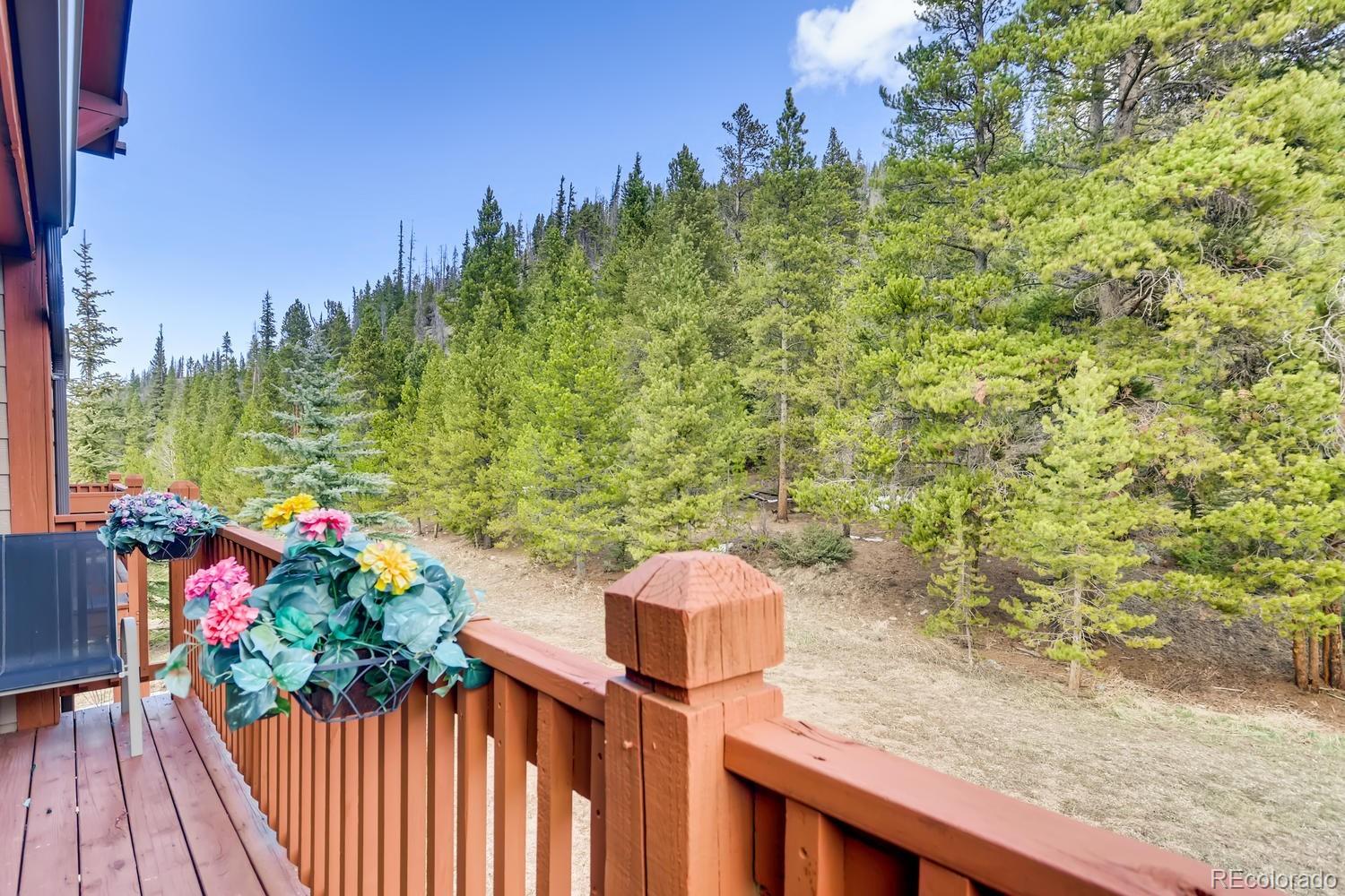 MLS Image #23 for 203  pelican circle,breckenridge, Colorado